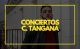 C. Tangana conciertos 2022 2 C. Tangana conciertos
