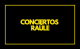 Concierto Raúle Santiago de Compostela 2022 